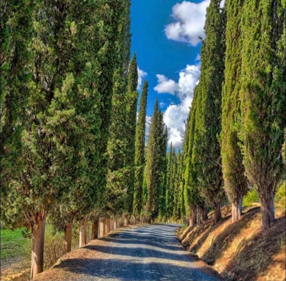 Agriturismo Fattoria Il Piano - Appartamento Focolare - San Gimignano Exterior photo
